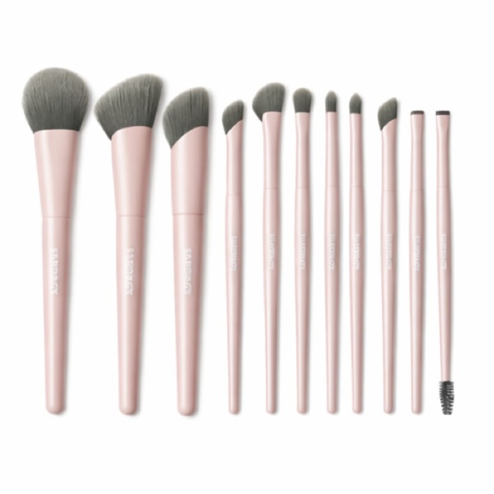 Professional 12 Makeup Brush Set